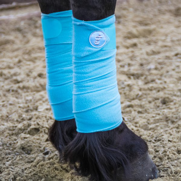 lichtblauwe bandages voor paard