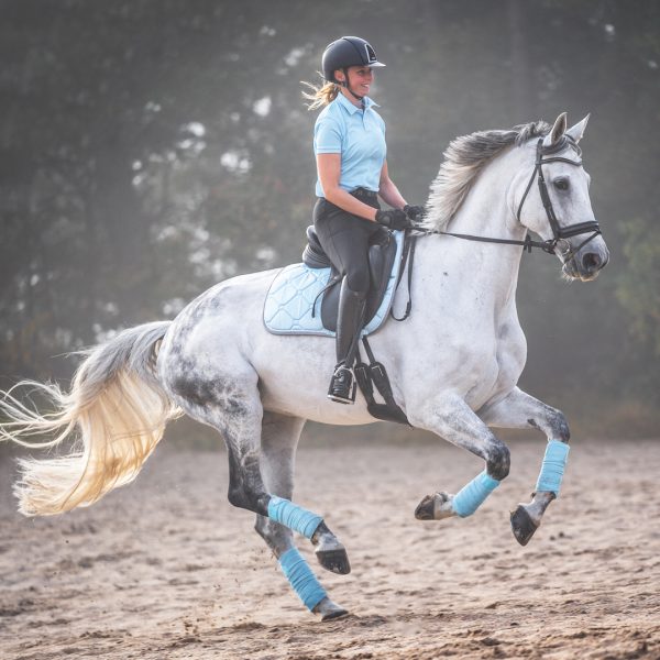 rijfoto paard met amazone in lichtblauwe set